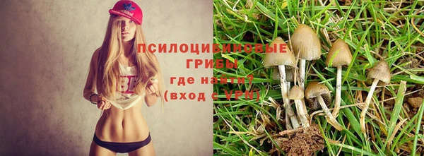COCAINE Богородск
