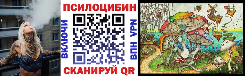 Галлюциногенные грибы GOLDEN TEACHER  Егорьевск 